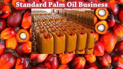 Palm oil business in Nigeria as a supplier