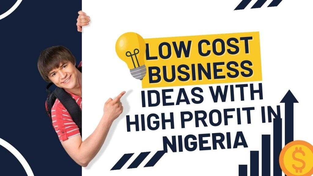 Low cost Business Ideas with high profit in Nigeria