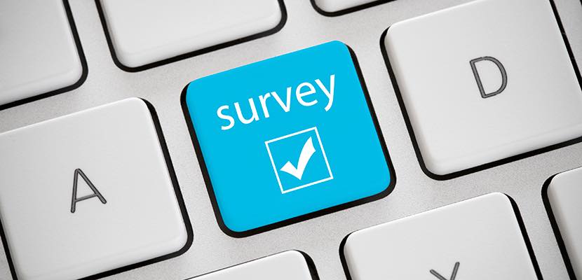 Online surveys 