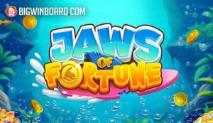 cuoc bong da là gì Giới thiệu nhanh dành cho người mới