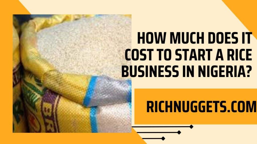 How much does it cost to start a Rice Business in Nigeria?