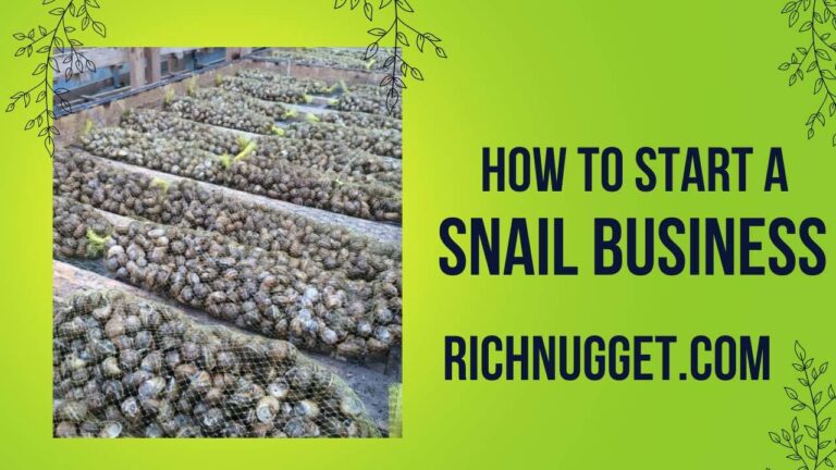 How to Run a Profitable Snail Farming Business in Nigeria: Step-By-Step Guide