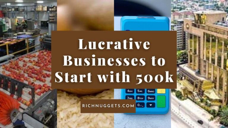 24 most Lucrative Businesses to Start with 500k or a Million Naira in Nigeria