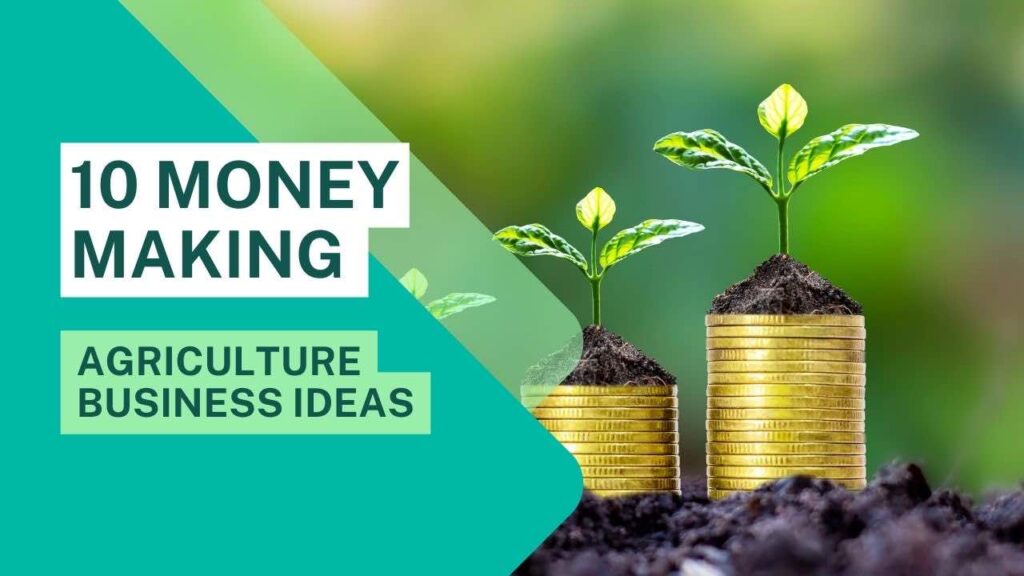 10 Money Making Agriculture Business Ideas