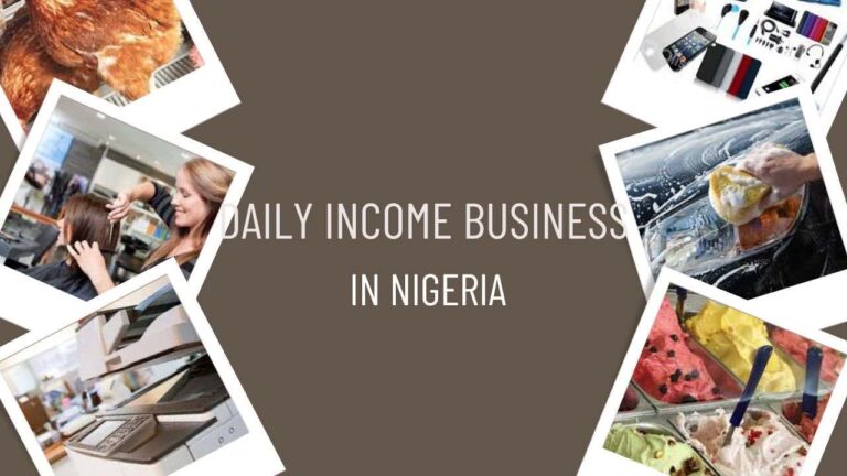 55 High-Paying Daily Income Business in Nigeria