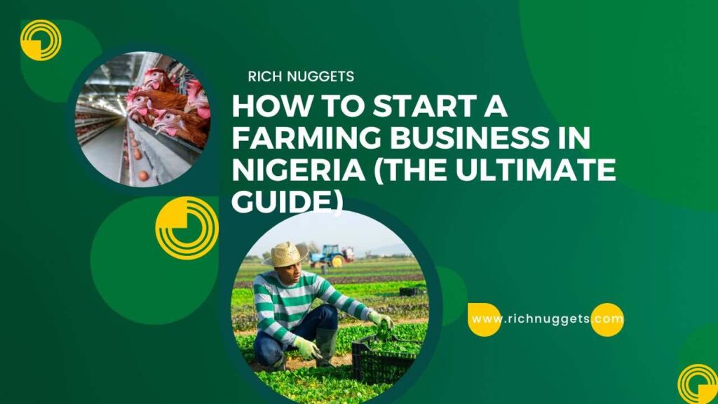How to Start a Farming Business in Nigeria (The Ultimate Guide)