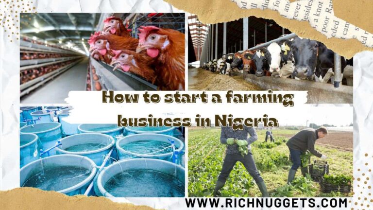 How to Start a Farming Business in Nigeria (The Ultimate Guide)