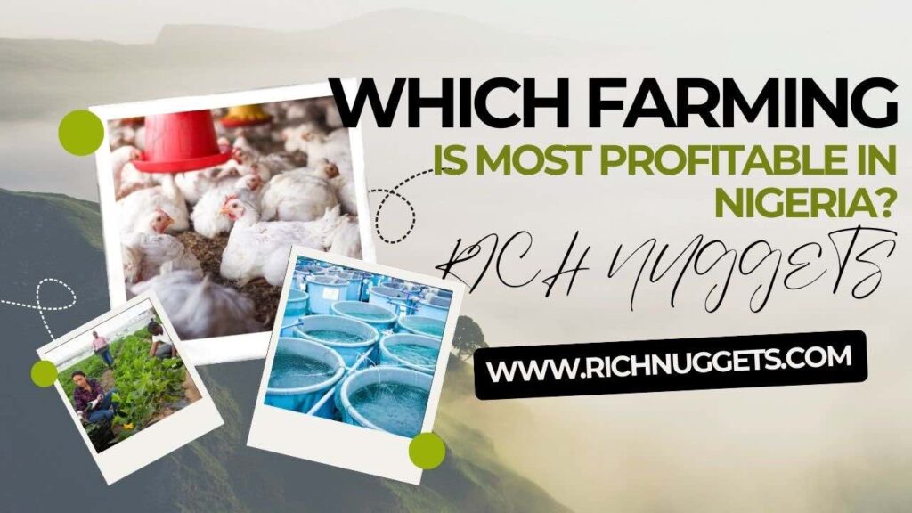 Which farming is most profitable in Nigeria?