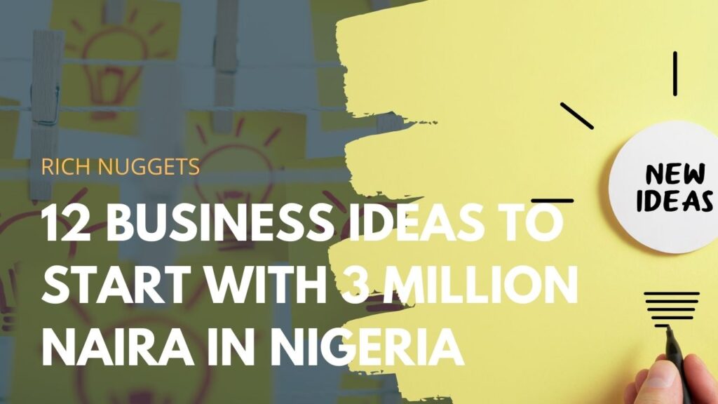 Business Ideas to Start with 3 million Naira in Nigeria