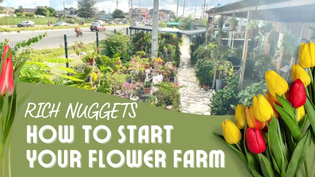 HOW TO START YOUR FLOWER FARM